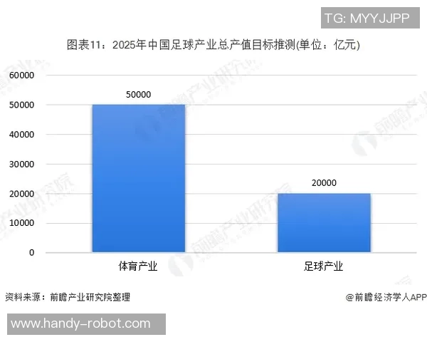 足球资汛：解析全球足球市场动态与未来发展趋势的深度报告